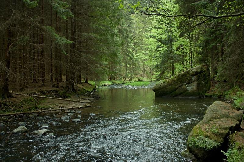 Ubytování U Potoka Kunratice  Exteriér fotografie